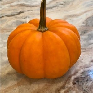 Meet your Posher, Robin